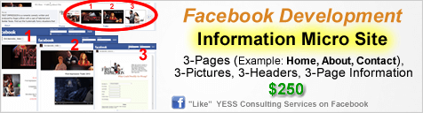 FB - Information Mico Site