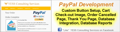 PayPal Development